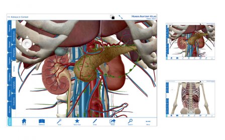 Visible body 3d human anatomy atlas for mac